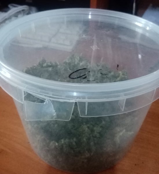 В Удмуртии полицейские обнаружили крупную партию наркотиков в квартире 19-летнего курьера